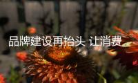 快排公司十年历程，霸屏兔 seo 的崛起与坚守