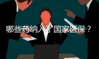 哪些药纳入了国家医保	？用它随时查→