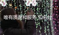 快排公司十年历程，霸屏兔 seo 的崛起与坚守