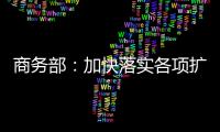 商务部	：加快落实各项扩消费政策措施