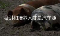 快排公司十年历程，霸屏兔 seo 的崛起与坚守