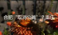 合肥“取消公摊”
？重庆已经试了21年，香港更彻底