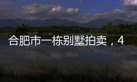 合肥市一栋别墅拍卖	，4人报名竞拍却以起拍价282万就成交了