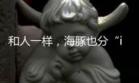 和人一样
，海豚也分“i豚”和“e豚”吗
？
