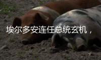 埃尔多安连任总统玄机
，建国百年的“土耳其三变”丨智库视点