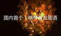 快排公司十年历程，霸屏兔 seo 的崛起与坚守