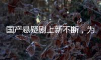 快排公司十年历程，霸屏兔 seo 的崛起与坚守