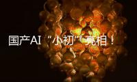 国产AI“小初”亮相
！智力媲美人类可自动学习