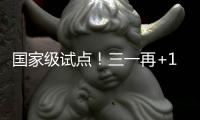 国家级试点
！三一再+1！