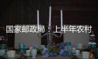 快排公司十年历程，霸屏兔 seo 的崛起与坚守