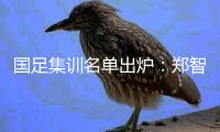 国足集训名单出炉：郑智落选 两U23新星入选