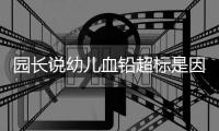 园长说幼儿血铅超标是因为吃了“颜料制作的食品”	，你相信吗？