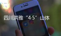 快排公司十年历程，霸屏兔 seo 的崛起与坚守