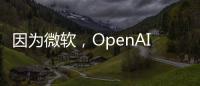 因为微软�
，OpenAI收购“AI编程独角兽”Windsurf失败，谷歌“黄雀在后”