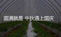 快排公司十年历程，霸屏兔 seo 的崛起与坚守