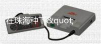 在珠海种下"飞翔的梦想"！珠海太空中心搭建平台，科学家与青少年面对面