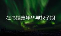 快排公司十年历程，霸屏兔 seo 的崛起与坚守