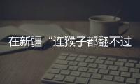 在新疆“连猴子都翻不过的山”

，查缉�、抢险和反恐维稳