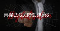快排公司十年历程，霸屏兔 seo 的崛起与坚守
