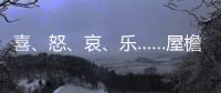 快排公司十年历程，霸屏兔 seo 的崛起与坚守