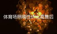 快排公司十年历程，霸屏兔 seo 的崛起与坚守