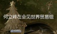 何立峰在会见世界贸易组织总干事伊维拉时指出：中方坚定支持多边主义和自由贸易 支持世界贸易组织在全球经济治理中发挥更大作用
