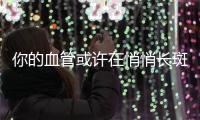 快排公司十年历程，霸屏兔 seo 的崛起与坚守