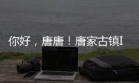 你好，唐唐！唐家古镇IP形象创意征集赛结果揭晓→