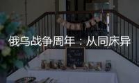 俄乌战争周年：从同床异梦到同室操戈