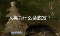 人类为什么会脱发
？
