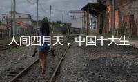 人间四月天，中国十大生态板品牌以质取胜