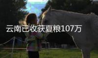 快排公司十年历程，霸屏兔 seo 的崛起与坚守