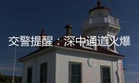 交警提醒：深中通道火爆超预期	，停车打卡违规不可取