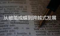 快排公司十年历程，霸屏兔 seo 的崛起与坚守