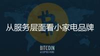 快排公司十年历程，霸屏兔 seo 的崛起与坚守