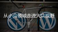 从小众领域走进大众视野 整理收纳师走俏为哪般？