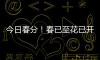 今日春分	！春已至花已开，愿你不负好春光