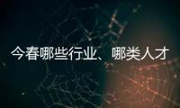 快排公司十年历程，霸屏兔 seo 的崛起与坚守