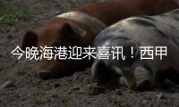 今晚海港迎来喜讯！西甲中场猛将加盟	，武磊力荐，巴尔加斯替代者