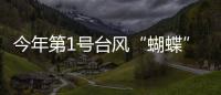 快排公司十年历程，霸屏兔 seo 的崛起与坚守
