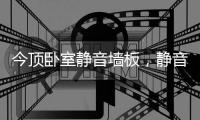 今顶卧室静音墙板
，静音才能放肆睡