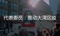 快排公司十年历程，霸屏兔 seo 的崛起与坚守