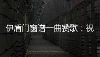 快排公司十年历程，霸屏兔 seo 的崛起与坚守