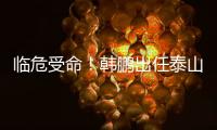 快排公司十年历程，霸屏兔 seo 的崛起与坚守
