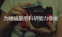 快排公司十年历程，霸屏兔 seo 的崛起与坚守