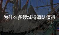 快排公司十年历程，霸屏兔 seo 的崛起与坚守
