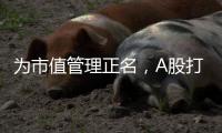 为市值管理正名，A股打响“慢牛令”
�？