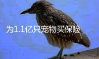 为1.1亿只宠物买保险
：如何证明“我的狗是我的狗”