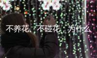 不养花
、不碰花，为什么还会花粉过敏
？