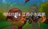 与绒共眠
	，江苏小永远家纺家居用品给睡眠升级